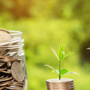 investment growth coins